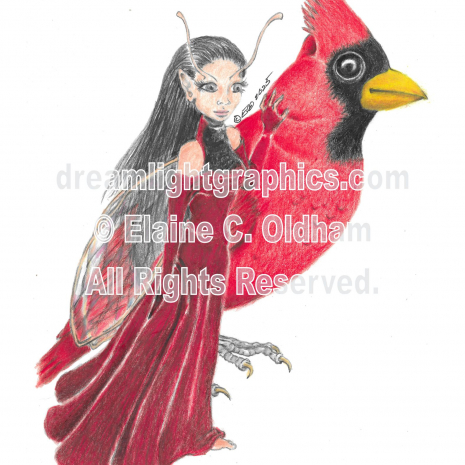 Cardinal Companions (c) 2025 Elaine C. Oldham, all rights reserved.