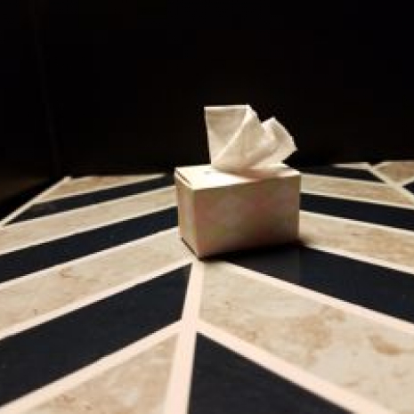 Assembled sample of tissue box