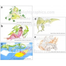 Designs: a) Fairy Ivy, b) Fairy Calladium, c) Kite Flying, d) Dragon, e) Pegasus