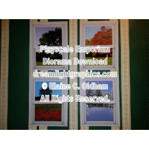 White trim windows with spring, summer, fall, and winter views