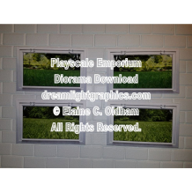 images of one pane basement windows with yard view