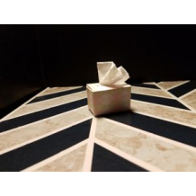 Assembled sample of tissue box
