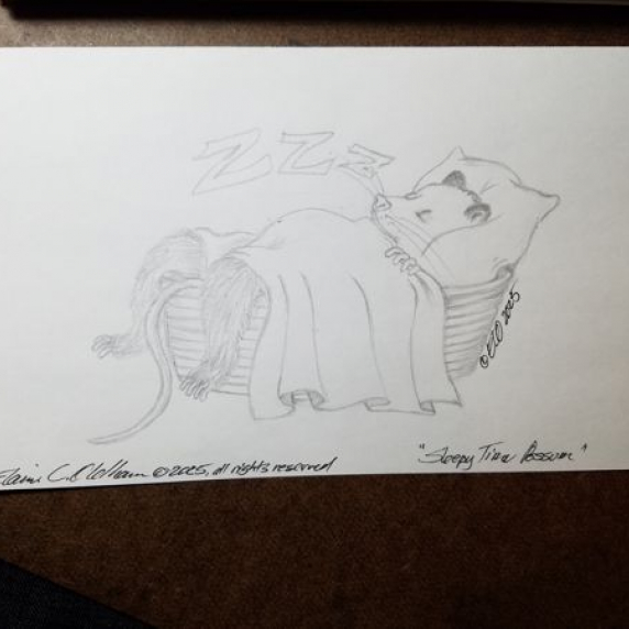 elainecoldham-winterwar2025quicksketch.jpg