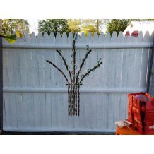 elainecoldham-magicgarden01.jpg elainecoldham-magicgarden01.jpg