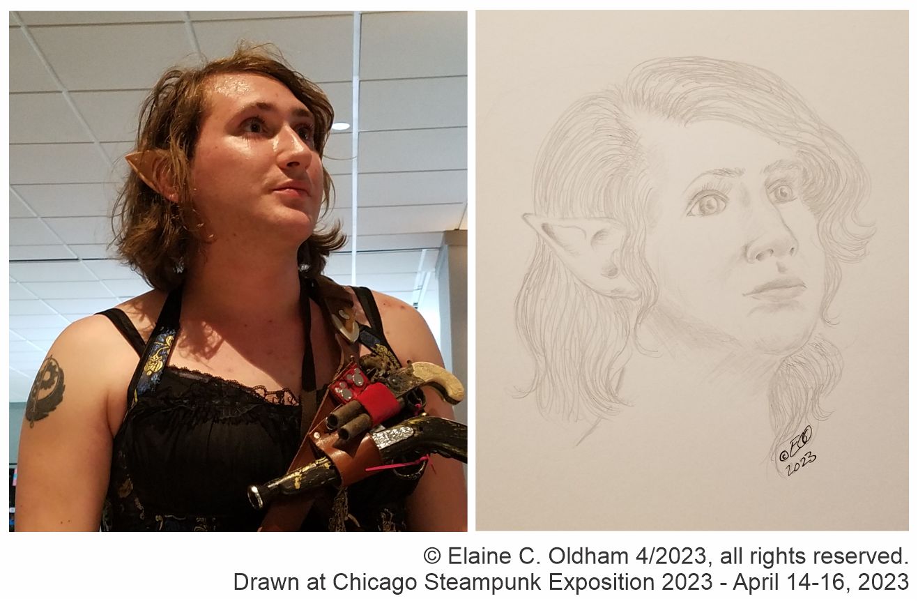 Portrait of a Steampunk Elf (c) Elaine C Oldham
