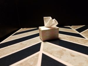 completed tissue box sample